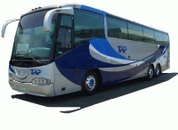 autobus1 autobus1